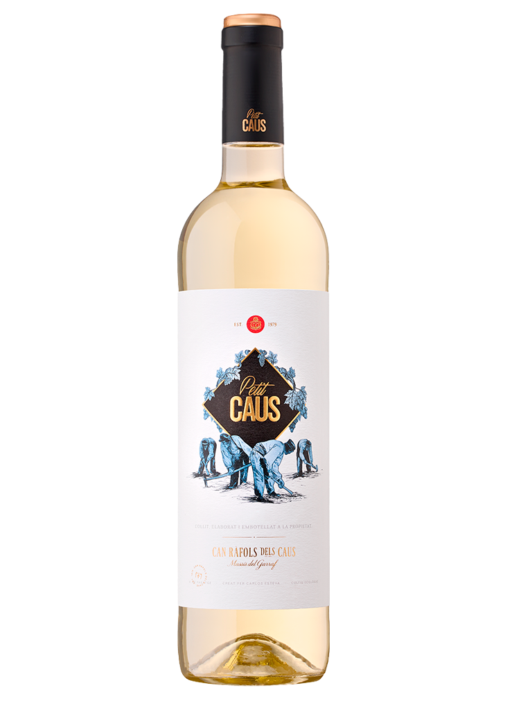 Can Ràfols dels Caus Petit Caus Blanc