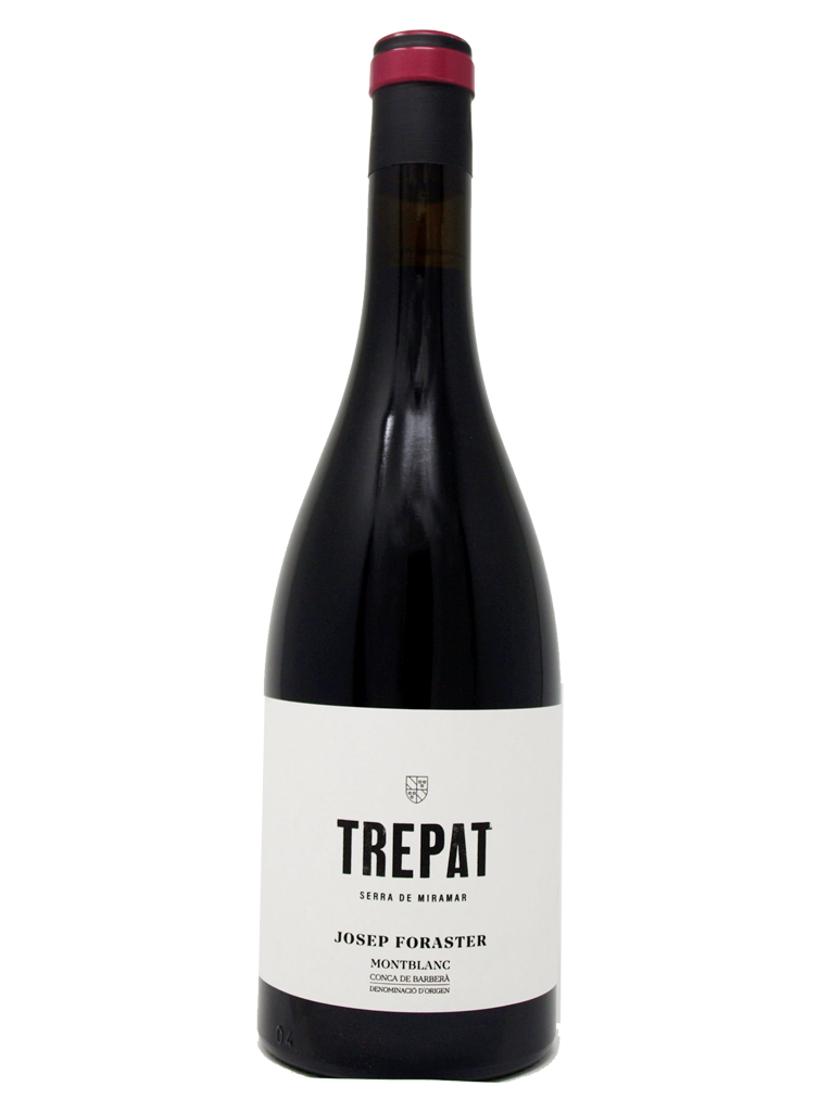 Josep Foraster Trepat