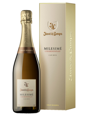 Juve Y Camps Milesime Chardonnay Estuche.jpg