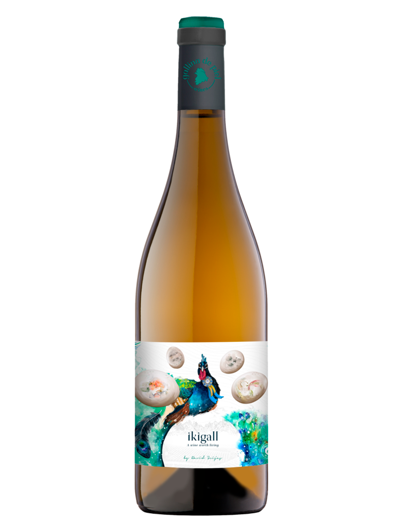 Gallina de Piel Ikigall