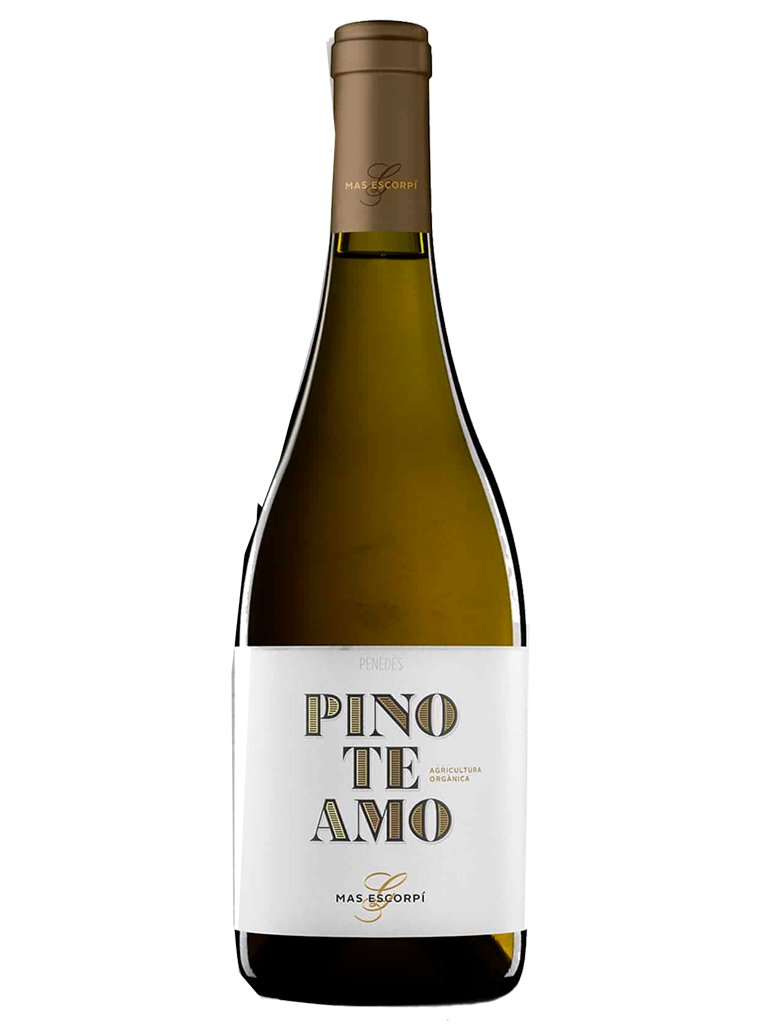 Mas Escorpí Pinoteamo