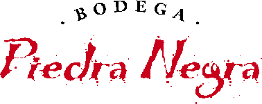 Bodega Piedra Negra