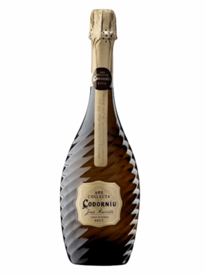 ARS COLLECTA JOSEP RAVENTOS