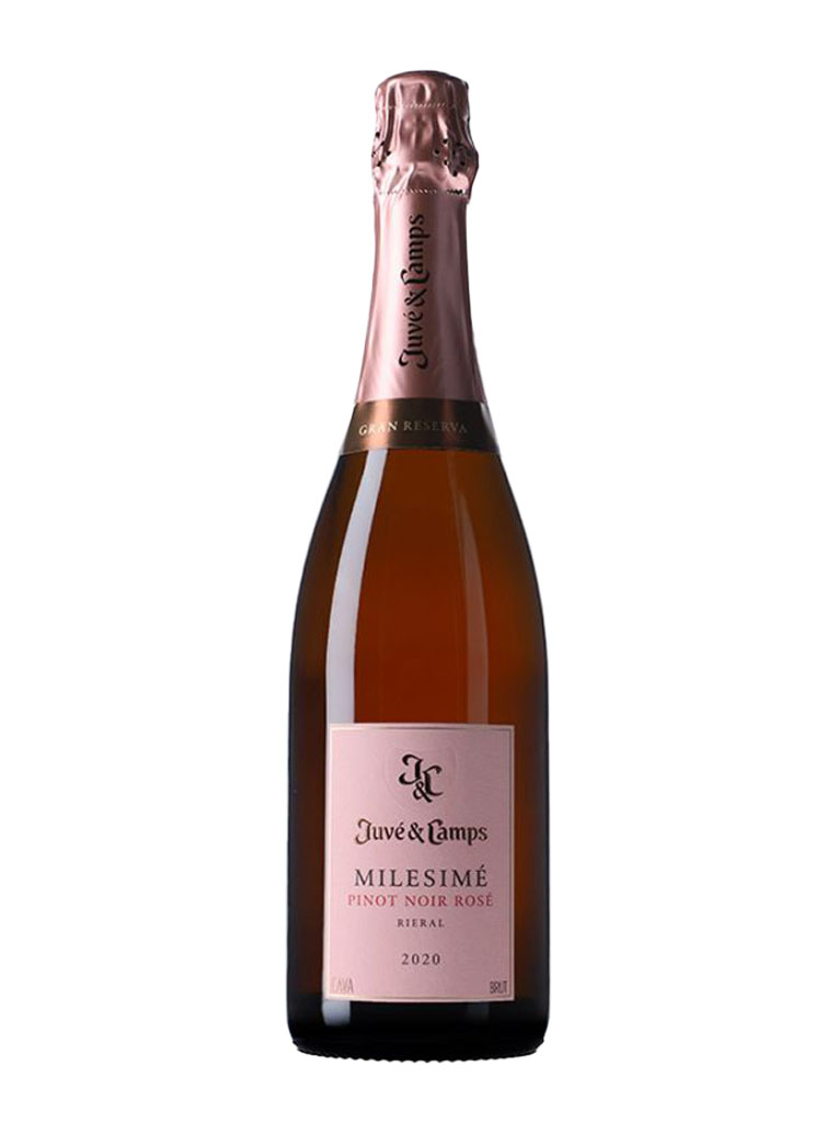Juvé & Camps Milesimé Pinot Noir Rosé