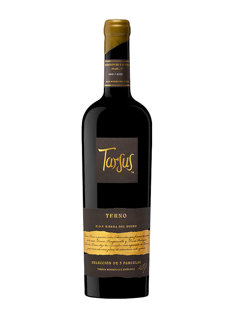 Tarsus Terno
